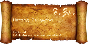 Herzog Zsigmond névjegykártya